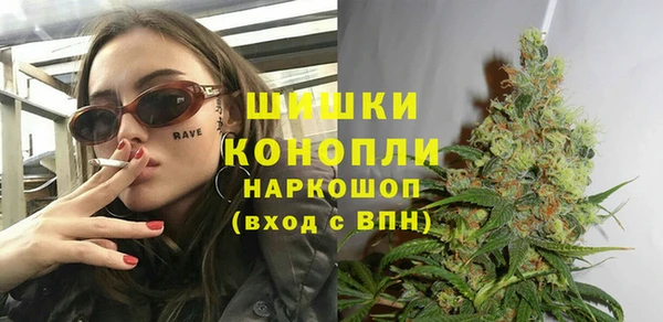 стаф Балахна
