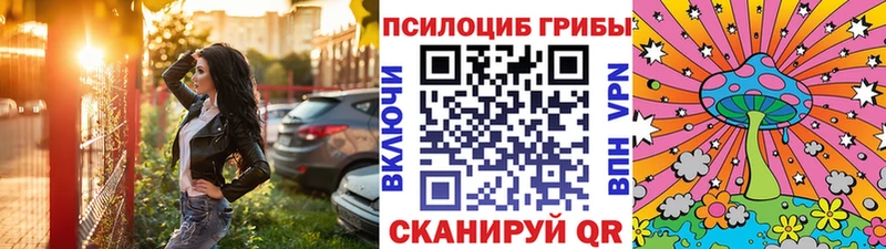 Псилоцибиновые грибы Psilocybe  Белово 